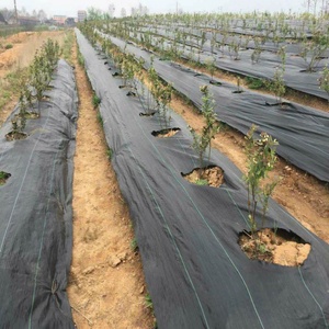 Toile de paillage perméable anti-mauvaises herbes pour parterres de fraises et plantation d'arbres - Product Image 4