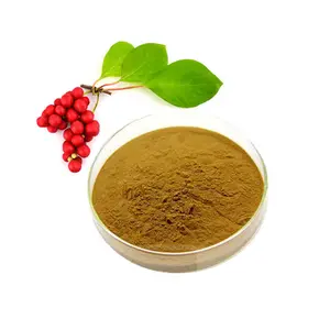 Materie prime per uso alimentare Schisandra Berry Chinensis estratto in polvere