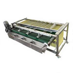 सब्जी/फल सॉर्टिंग मशीन आलू टमाटर लहसुन मिर्च मिर्च गाजर ककड़ी मशरूम ग्रेडिंग - Product Image 6