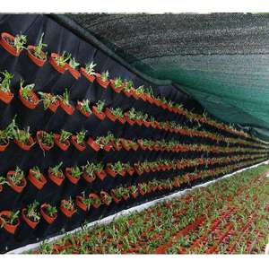 Macetas Colgantes de Fieltro para Jardín, Verticales, con 12 Bolsillos, de Tela No Tejida, Impermeables, Modelo DDA317, Venta al Por Mayor - Product Image 4