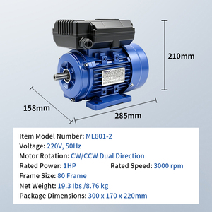 Moteur asynchrone monophasé AC série ML ML8012-2-0.75KW 1HP 3000 tr/min 110/220V, 220-440V - Product Image 6
