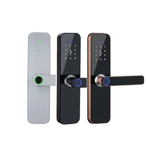 Bilixo impermeabile fingerprint digital safe smart doorlock BLE gate per serrature della maniglia della porta d'ingresso serratura della maniglia delle porte del chiavistello da infilare