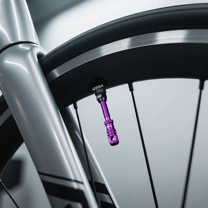 <span class=keywords><strong>Valve</strong></span> de pneu <span class=keywords><strong>tubeless</strong></span> en alliage d'aluminium MUQZI 45/55/65/75/85/100 mm <span class=keywords><strong>Valve</strong></span> Presta pour vélo de route <span class=keywords><strong>VTT</strong></span> - Product Image 5