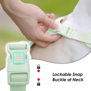 Harnais pour chien Perro : Accessoires pour animaux de compagnie personnalisables, harnais anti-traction et laisse pour chien - Product Image 2