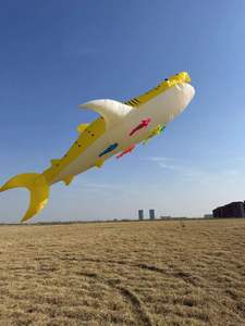 Nouvelle arrivée poisson cerf-volant adulte poisson rouge cerf-volant <span class=keywords><strong>sport</strong></span> professionnel grand cerf-volant gonflable 2024 poisson doux moulinet volant - Product Image 2