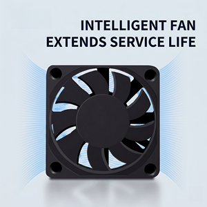 Cargador de Batería Inteligente de Pulso, el Más Vendido y Mejor Calificado, 12V 24V 12A 300W 1000W, Enchufe Universal para EE. UU. y UE, para Vehículos - Product Image 2