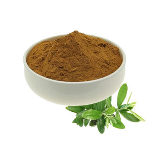 Extracto de Hoja de Olivo Natural al Por Mayor, 40% Oleuropeína, 20% Hidroxitrosol en Polvo - Product Image 1