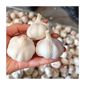 Nouvelle récolte <span class=keywords><strong>ail</strong></span> blanc/rouge 4.5 5.0cm tailles 20kg sac Carton Pack exportation <span class=keywords><strong>prix</strong></span> compétitif - Product Image 3