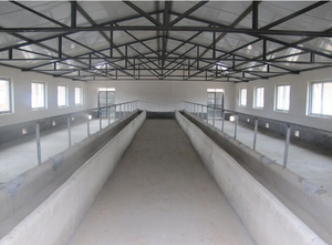 <span class=keywords><strong>Puente</strong></span> de Acero Modelo GM, Estructura de Acero Ligero Prefabricada, Construcción, Soldadura, Doblado, Corte, Metálico, ASTM A36, Precio de Fábrica - Product Image 5