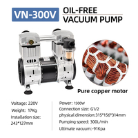Ölfreie Vakuumpumpe VN 300V mit integriertem Filter und Luftbehälter für stabilen Druck und automatischen Start-Stopp-Betrieb