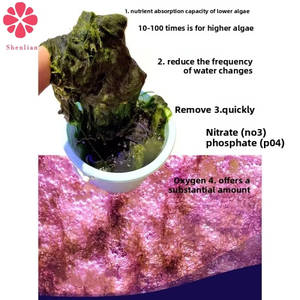 Nouvelle lampe LED WiFi rectangulaire <span class=keywords><strong>Koukou</strong></span> E2 pour aquarium et corail marin, 220V, avec lampe anti-algues intégrée - Product Image 6