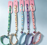 Ensemble laisse et collier pour chien tendance, laisse de promenade souple pour chiens de petite et moyenne taille
