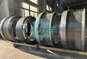 JZ 304 SS Giuliani/Giuliani, maquinaria de alimentación de GH3-545.210, anillo de pellets, fabricante de matriz de máquina de pellets Giuliani - Product Image 2