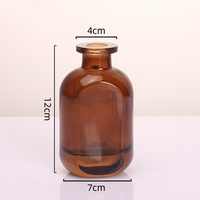 Vente en gros 150ml Bâtons de roseau en rotin Diffuseur de parfum de maison Diffuseur de roseau givré vide Bouteille en verre avec couvercle