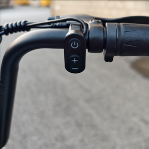 Scooter Elettrico Economico Personalizzabile nel Colore, Produttore da Tre Decenni, Vendita all'Ingrosso - Product Image 3