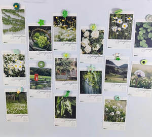 Juego de 32 Imanes de Resina Ecológicos y Duraderos para Refrigerador, Diseño Personalizado, Decoración Magnética Verde para el Hogar y la Cocina - Product Image 3