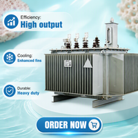 Transformateur à noyau amorphe S20-M sur mesure pour atelier OEM, trois phases, 110 kV, 1000 kVA, bobinage en cuivre, refroidissement ONAN, 50/60 Hz, pour alimentation rurale