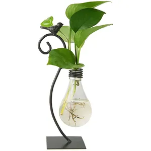 Cam saksı topraksız vazo çiçek ışıklı saksı ampul vazo bitki standı çiçek/yeşil topraksız bitki rafı