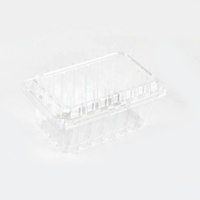 Boîte d'emballage transparente en plastique PET pour fruits frais, plateau d'emballage pour fraises, vente en gros Lesui