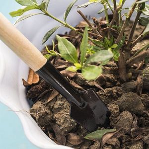 Set di mini attrezzi da giardinaggio - Piccola pala, rastrello, forchetta per piante grasse, fiori, piante da interno, giardinaggio sul balcone - Product Image 3