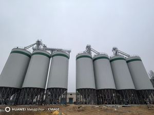 Silo de stockage de céréales en acier inoxydable de 2 mm d'épaisseur pour blé, maïs et autres grains, avec fonctionnement automatique pour l'alimentation des volailles et des poulets - Product Image 6
