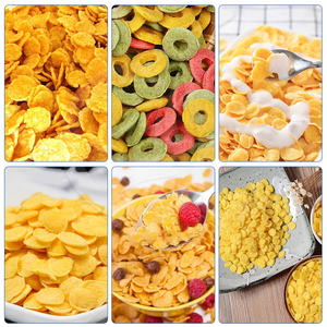 OCEAN Automatique Sweet Fruit Loop Máquina para asar copos <span class=keywords><strong>de</strong></span> maíz Chocolate Cereal <span class=keywords><strong>Avena</strong></span> Extrusión Línea <span class=keywords><strong>de</strong></span> producción Fabricante - Product Image 6