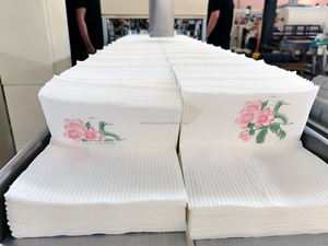 Tessuto Tovagliolo Bavaglino Dentale Medica di plastica Macchina Prodotto - Product Image 6