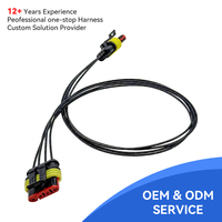 Connecteur électrique étanche pour voiture 1,5 Superseal 4 broches AMP avec faisceau de câbles 282088-1