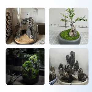 Groothandel Nieuwe Topkwaliteit <span class=keywords><strong>Aquarium</strong></span> <span class=keywords><strong>Aquarium</strong></span> Zuur Beitsen Zwarte Steen - Product Image 2