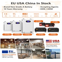 LiFePO4 51,2V 300AH 10 Jahre Garantie Versand aus China-Lager OEM ODM Unterstützt Powerstation Heimenergiespeicherbatterie