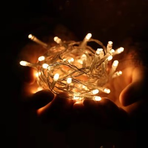 Bán buôn giáng sinh <span class=keywords><strong>LED</strong></span> Dây đèn AC220V IP65 đánh giá 10m 20M 30M 50M 100m ngoài trời trong nhà kỳ nghỉ bên trang trí đám cưới - Product Image 6