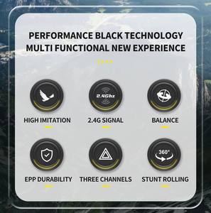 2.4G Rc Avion Simulation <span class=keywords><strong>Envergure</strong></span> <span class=keywords><strong>Aigle</strong></span> Avion RC Jouets Planeurs Enfants Cadeaux Contrôle Remoto Juguetes Modèle D'avion - Product Image 2