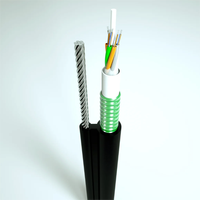 Câble de fibre optique aérien autoportant extérieur FTTX FTTR GYTC8S avec gaine PE certifié CE/ROHS/ISO9001 G652D/G657A1/G657A2