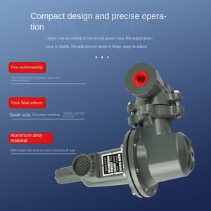 YOUYI LG-16P pneumatisches Gasdruck reduzier ventil für Haushalts-Flüssiggas 1 Jahr Garantie - Product Image 2