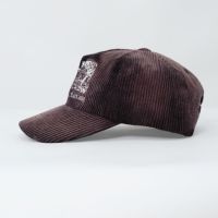 Gorra de Béisbol de Pana Estampada, Estilo Vintage, Ajustable, Unisex, Casual, Tipo Dad Hat, Gran Venta