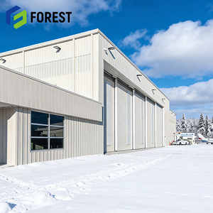 Solution clé en main fiable : Hangar d'avion en structure acier préfabriquée, résistant au vent, pour avion privé, avec service de conception - Product Image 1