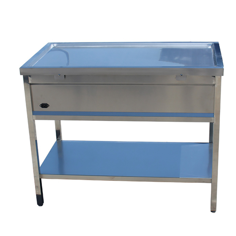 Mesa de tratamiento de fisioterapia médica veterinaria de acero inoxidable de alto acero inoxidable rendimiento