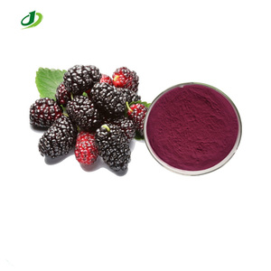 Extracto de Morera Natural de Grado Alimenticio en Polvo, Morus Alba L, Probado con UV, 25% de Antocianidinas, Envasado al Vacío en Tambor - Product Image 1