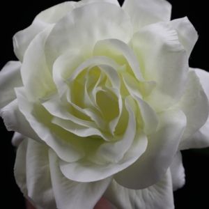 <span class=keywords><strong>Rosa</strong></span> <span class=keywords><strong>Rosa</strong></span> 2 bud 1 Seta Tessuto a Fiori English Rose Fiore Artificiale per <span class=keywords><strong>la</strong></span> Cerimonia Nuziale Centrotavola - Product Image 3