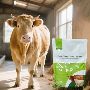 Renforceur d'<span class=keywords><strong>alimentation</strong></span> pour la croissance et la santé des bovins bétail Supplément nutritionnel Soutien digestif Vitamine boost Supplément probiotique - Product Image 1
