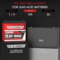 Batterie au lithium LiFePO4 mini 12V 100Ah avec protection basse température et BMS intelligent 100A pour moteur de pêche à la traîne, camping-car, système solaire hors réseau - STOCK US