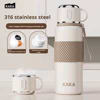 Gourde isotherme intelligente moderne de 550 ml en acier inoxydable 316, grande capacité, isolation thermique 12-24h, avec paille, compatible eau bouillante