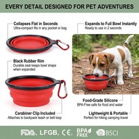 Bol pliable pour chien en Silicone, Logo personnalisé, bols pour animaux de compagnie, voyage