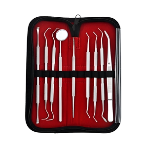 Kit professionnel d'hygiène dentaire en acier inoxydable 9 pièces – Instruments de soins bucco-dentaires de base – Fournisseur en gros - Product Image 1