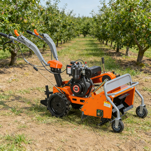 Broyeur d'herbe agricole haute productivité avec moteur diesel 3,5 kW, largeur <span class=keywords><strong>de</strong></span> travail <span class=keywords><strong>de</strong></span> 50 cm, avec lanceur <span class=keywords><strong>de</strong></span> secours - Product Image 1
