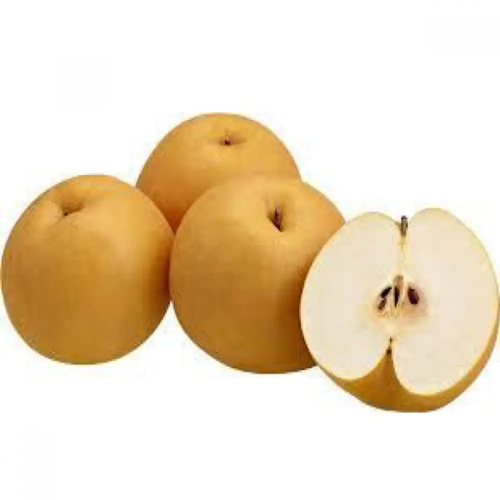 Fresh Pear 2023 New Crop Crown Pear