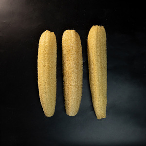 Éponge en loofah 20-70 cm, rectangulaire, naturelle, pour nettoyer les casseroles et les poêles - Product Image 2