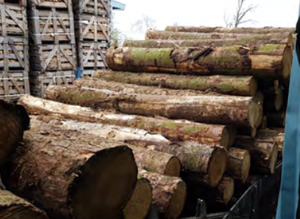 Agricultural Logging Machinery <b>Transmission</b> <b>Chains</b> Spare Parts for Sale - Product Image 2