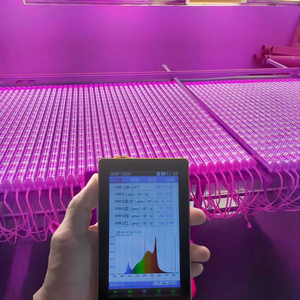 Thực vật bổ sung ánh sáng trắng + Đỏ Trắng + Đỏ + Xanh quang phổ đầy đủ 600 1200 1500mm T8 dẫn ánh sáng thực vật - Product Image 1