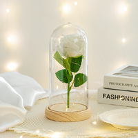 Lampe Chaude à Fleur Éternelle avec Couvercle en Verre, Rose Artificielle Lumineuse, Cadeau de Saint-Valentin et de Noël, Vente en Gros Transfrontalière